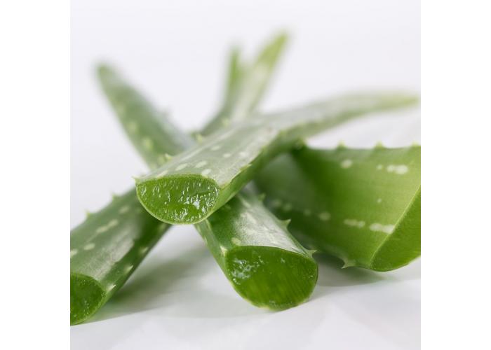 Алоэ-вера экстракт